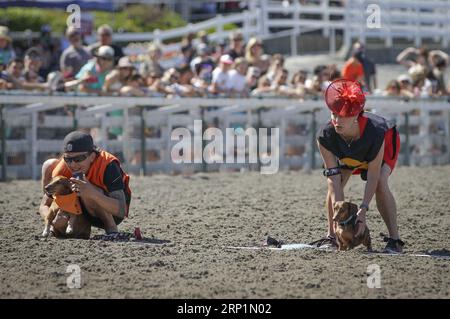 (180715) -- VANCOUVER, le 15 juillet 2018 -- les propriétaires de chiens et leurs chiens attendent à la ligne de départ de la course annuelle de chiens Wiener à Hastings Racecourse à Vancouver, Canada, le 14 juillet 2018.) (Jmmn) CANADA-VANCOUVER-WIENER RACE DE CHIENS LiangxSen PUBLICATIONxNOTxINxCHN Banque D'Images