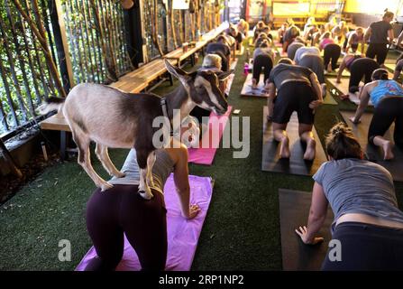 (180717) -- LOS ANGELES, le 17 juillet 2018 -- Un bébé chèvre se tient sur le dos d'un participant au yoga pendant un cours de yoga à Los Angeles, aux États-Unis, le 16 juillet 2018.) (hy) U.S.-LOS ANGELES- GOAT YOGA ZhaoxHanrong PUBLICATIONxNOTxINxCHN Banque D'Images