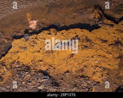 L'herbe et les feuilles coulent dans la boue ferrique. Le produit chimique repose à la mine de charbon colapsed, Leknica Pologne. Banque D'Images