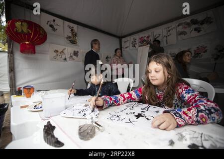 (180814) -- SAO PAULO, 14 août 2018 -- des enfants dessinent des peintures chinoises lors du Festival de l'immigration chinoise au Parque Aclimacao à Sao Paulo, Brésil, le 12 août 2018. La plus grande ville du Brésil, Sao Paulo, a célébré le Festival de l immigration chinoise au cours du week-end, dans l un des principaux parcs du pays, Parque Aclimacao. (gj) BRÉSIL-SAO PAULO-FESTIVAL DE L'IMMIGRATION CHINOISE LixMing PUBLICATIONxNOTxINxCHN Banque D'Images