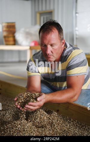 (180816) -- WISCONSIN, le 16 août 2018 -- Joe Heil détient des graines de ginseng dans un entrepôt de sa ferme de ginseng à Wausau, Wisconsin, États-Unis, le 25 juillet 2018. Joe Heil cultive le ginseng depuis plus de 20 ans. Sa ferme du Wisconsin avec 50 acres de ginseng était lucrative. Récemment, cependant, la peur de la perte se profile dans son esprit. Alors que les frictions commerciales déclenchées par les États-Unis avec la Chine s'intensifient, certains clients qui ont exprimé leur intérêt pour l'achat de ginseng du Wisconsin ont reculé. POUR ALLER DE l'avant : l'industrie américaine du ginseng a souffert des frictions commerciales actuelles entre les États-Unis et la Chine ) (zhf) U.S.-WISCONSIN-GINSENG-TR Banque D'Images