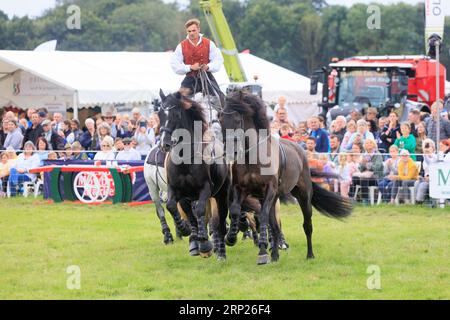31st août 2023 les chevaux d'action Atkinson divertissent la foule au spectacle du comté de Bucks Banque D'Images