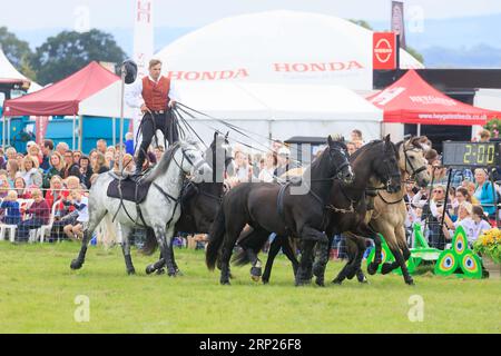 31st août 2023 les chevaux d'action Atkinson divertissent la foule au spectacle du comté de Bucks Banque D'Images