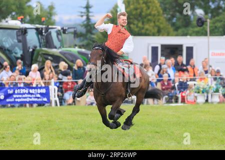 31st août 2023 les chevaux d'action Atkinson divertissent la foule au spectacle du comté de Bucks Banque D'Images