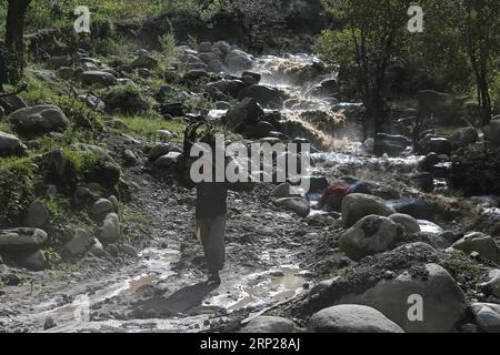 (180824) -- SRINAGAR, 24 août 2018 -- Un Cachemire transporte du bois de chauffage dans un village du district de Budgam, à environ 40 km au sud-ouest de la ville de Srinagar, capitale estivale du Cachemire contrôlé par les Indiens, 24 août 2018.) (dtf) CACHEMIRE-SRINAGAR-VIE QUOTIDIENNE CONTRÔLÉE PAR L'INDE JavedxDar PUBLICATIONxNOTxINxCHN Banque D'Images