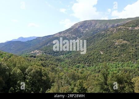 Evisa - petit village de montagne pittoresque entre de splendides montagnes de l'île de Corse en France Banque D'Images
