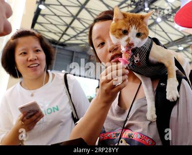 (180825) -- SHANGHAI, 25 août 2018 -- Un chat goûte des collations pour chats à la 21e foire pour animaux de compagnie Asia à Shanghai, dans l'est de la Chine, le 25 août 2018. La foire pour animaux de compagnie se tient ici du 22 au 26 août. Plus de 1 300 exposants apportant plus de 16 000 marques de fournitures pour animaux de compagnie ont participé à la foire pour animaux de compagnie. (Hxy) CHINA-SHANGHAI-PET FAIR ASIA (CN) FangxZhe PUBLICATIONxNOTxINxCHN Banque D'Images