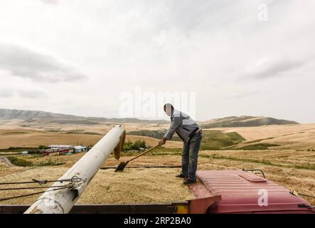 (180828) -- QITAI, 28 août 2018 -- Un fermier arrange du blé dans un site pittoresque de Jiangbulake dans le comté de Qitai, dans la région autonome ouïgour du Xinjiang, au nord-ouest de la Chine, 27 août 2018. )(wsw) CHINE-XINJIANG-RÉCOLTE DE BLÉ (CN) ZhaoxGe PUBLICATIONxNOTxINxCHN Banque D'Images