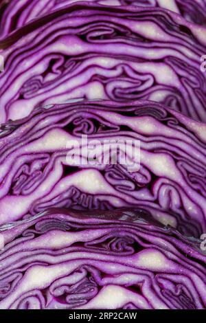 Gros plan, photographie macro de chou violet Banque D'Images