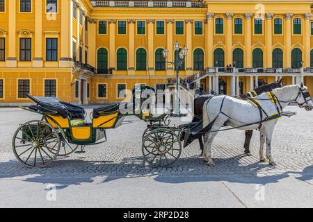 Fiaker calèche attendant les invités devant le Palais Schoenbrunn, Vienne, Autriche Banque D'Images