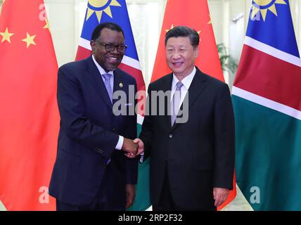 Actualités Bilder des Tages (180902) -- BEIJING, 2 septembre 2018 -- le président chinois Xi Jinping (à droite) rencontre le président namibien Hage Geingob au Grand Hall du peuple à Beijing, capitale de la Chine, le 2 septembre 2018. )(lmm) CHINA-BEIJING-XI JINPING-NAMIBIA-PRESIDENT-MEETING (CN) XiexHuanchi PUBLICATIONxNOTxINxCHN Banque D'Images