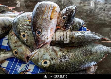 Marché aux poissons, Port Moresby, Papouasie-Nouvelle-Guinée Banque D'Images