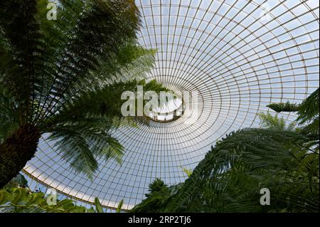 Intérieur, toit, Kibble Palace, Glass House, Glasgow Botanic Gardens, Maryhill, Glasgow, Écosse, Royaume-Uni Banque D'Images