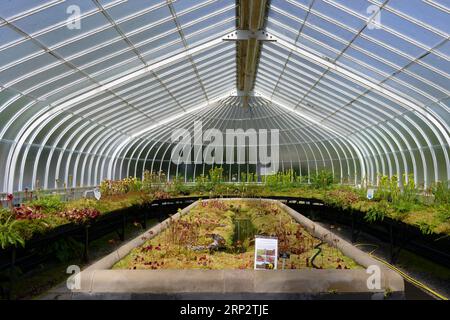 Vue intérieure, Kibble Palace, Glass House, Glasgow Botanic Gardens, Maryhill, Glasgow, Écosse, Royaume-Uni Banque D'Images