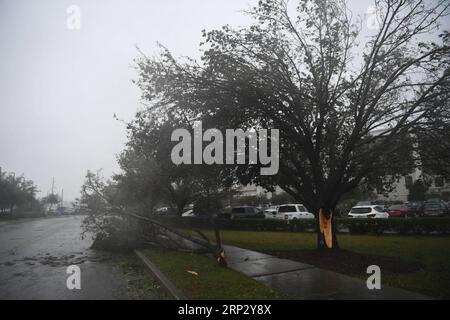 (180914) -- WILMINGTON, 14 septembre 2018 -- Un arbre est brisé par une forte tempête alors que l'ouragan Florence débarque à Wilmington, Caroline du Nord, États-Unis, le 14 septembre 2018. L'ouragan Florence, vendredi matin, a touché terre sur la côte de la Caroline du Nord comme tempête de catégorie 1, avec des coups de vent et des pluies. ) (lrz) U.S.-WILMINGTON-HURRICANE FLORENCE LiuxJie PUBLICATIONxNOTxINxCHN Banque D'Images