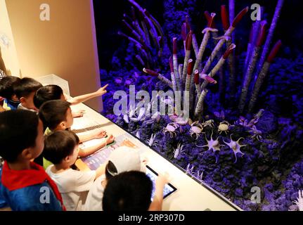 (180915) -- SHANGHAI, 15 septembre 2018 -- des enfants regardent une exposition en haute mer au Musée d'histoire naturelle de Shanghai dans l'est de la Chine, Shanghai, 15 septembre 2018. Diverses activités ont été organisées à travers le pays pour saluer la journée annuelle de vulgarisation scientifique en Chine. )(mcg) CHINE-SCIENCE POPULARISATION-ACTIVITÉ (CN) FangxZhe PUBLICATIONxNOTxINxCHN Banque D'Images