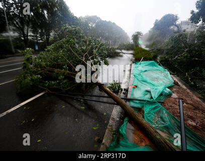 (180916) -- SHENZHEN, 16 septembre 2018 -- des arbres sont brisés par le typhon Mangkhut dans le district de Futian à Shenzhen, dans la province du Guangdong du sud de la Chine, le 16 septembre 2018. Le typhon Mangkhut a atterri dimanche à 5 heures sur la côte de la ville de Jiangmen, province du Guangdong, dans le sud de la Chine, soufflant des vents allant jusqu'à 162 km par heure, selon la station météorologique provinciale. (Sxk) CHINA-GUANGDONG-TYPHOON MANGKHUT (CN) MaoxSiqian PUBLICATIONxNOTxINxCHN Banque D'Images