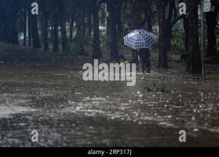 (180916) -- SHENZHEN, 16 septembre 2018 -- Un piéton marche dans une rue inondée du district de Futian à Shenzhen, province du Guangdong dans le sud de la Chine, 16 septembre 2018. Le typhon Mangkhut a atterri dimanche à 5 heures sur la côte de la ville de Jiangmen, province du Guangdong, dans le sud de la Chine, soufflant des vents allant jusqu'à 162 km par heure, selon la station météorologique provinciale. (Sxk) CHINA-GUANGDONG-TYPHOON MANGKHUT (CN) MaoxSiqian PUBLICATIONxNOTxINxCHN Banque D'Images