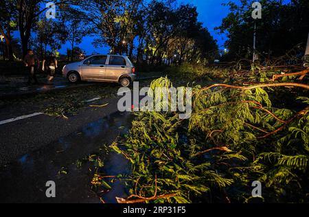 (180916) -- SHENZHEN, 16 septembre 2018 -- une photo prise le 16 septembre 2018 montre des arbres cassés à Shenzhen, dans la province du Guangdong du sud de la Chine. Le super typhon Mangkhut a atterri à 5 heures dimanche sur la côte de la ville de Jiangmen, province du Guangdong dans le sud de la Chine, soufflant des vents allant jusqu'à 162 km par heure, selon la station météorologique provinciale. )(mcg) CHINA-GUANGDONG-TYPHOON MANGKHUT (CN) MaoxSiqian PUBLICATIONxNOTxINxCHN Banque D'Images