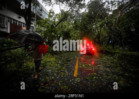 (180916) -- SHENZHEN, 16 septembre 2018 -- une photo prise le 16 septembre 2018 montre des arbres cassés à Shenzhen, dans la province du Guangdong du sud de la Chine. Le super typhon Mangkhut a atterri à 5 heures dimanche sur la côte de la ville de Jiangmen, province du Guangdong dans le sud de la Chine, soufflant des vents allant jusqu'à 162 km par heure, selon la station météorologique provinciale. Mao Siqian) (mcg) CHINA-GUANGDONG-TYPHOON MANGKHUT (CN) LiangxXu PUBLICATIONxNOTxINxCHN Banque D'Images