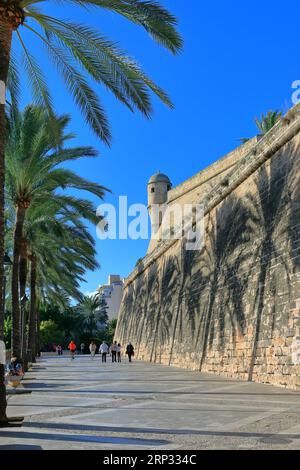 Photo prise sur l'île de Palma de Majorque. L'image montre les anciens murs de la vieille ville de Palma, près de laquelle se trouve l'allée des arbres - Palm Banque D'Images