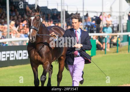 30 août 2023 Burghley Horse Trials inspection vétérinaire Harry Meade avec Away Cruising Banque D'Images