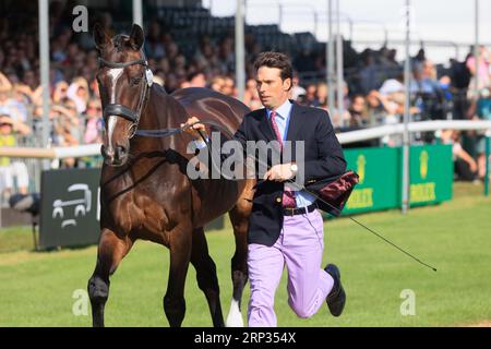 30 août 2023 Burghley Horse Trials inspection vétérinaire Harry Meade avec Away Cruising Banque D'Images