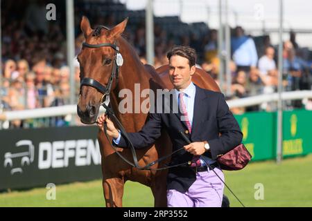 30 août 2023 Burghley Horse Trials inspection vétérinaire Harry Meade avec Tenareze Banque D'Images
