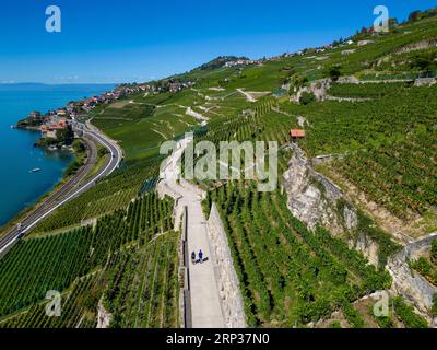 Vignobles en terrasses de Lavaux, Saint Saphorin, site classé au patrimoine mondial de l'UNESCO depuis 2007 surplombant le lac Léman dans le canton de Vaud, Suisse. Banque D'Images