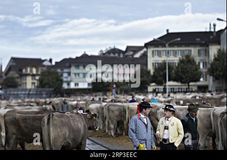 (181002) -- APPENZELL (Suisse), le 2 octobre 2018 -- des personnes assistent à l'exposition du bétail d'Appenzell à Appenzell, Suisse, le 2 octobre 2018. Le spectacle du bétail d'Appenzell, généralement organisé début octobre chaque année, est l'un des événements les plus importants pour les éleveurs des Alpes locales. Au cours de l'exposition, les vaches sont exposées et jugées par certains traits de race tels que le pis, le build et le pelage.) (Jmmn) SUISSE-APPENZELL-BOVINS SHOW MichelExLIMINA PUBLICATIONxNOTxINxCHN Banque D'Images