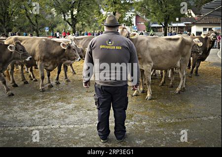 (181002) -- APPENZELL (Suisse), le 2 octobre 2018 -- un homme assiste au salon du bétail d'Appenzell à Appenzell, en Suisse, le 2 octobre 2018. Le spectacle du bétail d'Appenzell, généralement organisé début octobre chaque année, est l'un des événements les plus importants pour les éleveurs des Alpes locales. Au cours de l'exposition, les vaches sont exposées et jugées par certains traits de race tels que le pis, le build et le pelage.) (Jmmn) SUISSE-APPENZELL-BOVINS SHOW MichelExLIMINA PUBLICATIONxNOTxINxCHN Banque D'Images