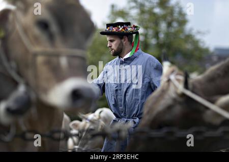 (181002) -- APPENZELL (Suisse), le 2 octobre 2018 -- un homme assiste au salon du bétail d'Appenzell à Appenzell, en Suisse, le 2 octobre 2018. Le spectacle du bétail d'Appenzell, généralement organisé début octobre chaque année, est l'un des événements les plus importants pour les éleveurs des Alpes locales. Au cours de l'exposition, les vaches sont exposées et jugées par certains traits de race tels que le pis, le build et le pelage.) (Jmmn) SUISSE-APPENZELL-BOVINS SHOW MichelExLIMINA PUBLICATIONxNOTxINxCHN Banque D'Images