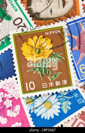 Madrid, Espagne ; 08-13-2023, timbre-poste du Japon représentant une fleur d'adonis, adonis amurensis, vers 1982 avec plus de timbres formant un fond Banque D'Images