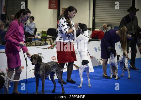 (181011) -- NADARZYN (POLOGNE), 11 octobre 2018 -- des chiens et leurs propriétaires sont vus lors de l'Euro Dog Show 2018 à Nadarzyn près de Varsovie, Pologne, le 11 octobre 2018. Plus de 4 000 chiens de 55 pays ont participé à l'Euro Dog Show 2018.) POLOGNE-NADARZYN-EURO EXPOSITION CANINE JaapxArriens PUBLICATIONxNOTxINxCHN Banque D'Images