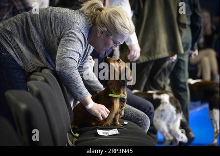 (181011) -- NADARZYN (POLOGNE), 11 octobre 2018 -- Un chien et son propriétaire sont vus lors de l'Euro Dog Show 2018 à Nadarzyn près de Varsovie, Pologne, le 11 octobre 2018. Plus de 4 000 chiens de 55 pays ont participé à l'Euro Dog Show 2018.) POLOGNE-NADARZYN-EURO EXPOSITION CANINE JaapxArriens PUBLICATIONxNOTxINxCHN Banque D'Images