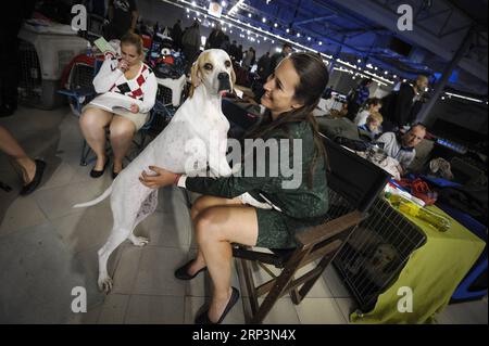 (181011) -- NADARZYN (POLOGNE), 11 octobre 2018 -- Un chien et son propriétaire sont vus lors de l'Euro Dog Show 2018 à Nadarzyn près de Varsovie, Pologne, le 11 octobre 2018. Plus de 4 000 chiens de 55 pays ont participé à l'Euro Dog Show 2018.) POLOGNE-NADARZYN-EURO EXPOSITION CANINE JaapxArriens PUBLICATIONxNOTxINxCHN Banque D'Images