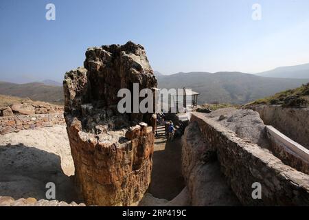 (181021) -- ÎLE LESVOS (GRÈCE), 21 octobre 2018 -- la photo prise le 20 octobre 2018 montre un tronc d'arbre pétrifié dans la forêt pétrifiée près du village de Sigri, île Lesvos, Grèce. L'île entière de Lesbos, dans le nord-est de la mer Égée, a été désignée comme l'un des 140 géoparcs mondiaux de l'UNESCO dans le monde en raison de son patrimoine géologique, culturel et écologique exceptionnel et des efforts déployés pour le préserver et le promouvoir au cours des trois dernières décennies. (yg) GRÈCE-ÎLE DE LESVOS-GEOPARK MariosxLolos PUBLICATIONxNOTxINxCHN Banque D'Images