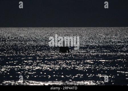 (181026) -- ÎLE DE BORACAY, le 26 octobre 2018 -- Un homme se fait silhouetter par les reflets du clair de lune sur les eaux le long de la plage quelques heures avant la réouverture de l'île de Boracay, aux Philippines, le 26 octobre 2018. La célèbre île de Boracay a rouvert ses plages et ses eaux aux touristes en pompe et en fanfare vendredi après six mois de réhabilitation et de nettoyage. (Zxj) PHILIPPINES-BORACAY ISLAND-REOPEN ROUELLExUMALI PUBLICATIONxNOTxINxCHN Banque D'Images