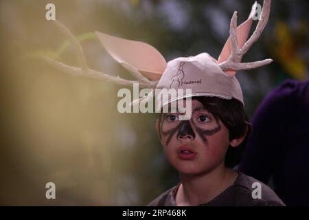 (181028) -- LOS RIOS, 28 octobre 2018 -- Un enfant habillé en animal participe au 8e Festival forestier Huilo Huilo dans le village de Neltume de Panguipulli, région de Los Rios, Chili, le 27 octobre 2018. Le festival annuel de la forêt Huilo Huilo a eu lieu dans la réserve biologique de Huilo Huilo à partir de 2011 pour célébrer l'arrivée du printemps et sensibiliser à la protection de la forêt. (Zhf) CHILE-LOS RIOS-HUILO FESTIVAL FORESTIER de HUILO WangxPei PUBLICATIONxNOTxINxCHN Banque D'Images