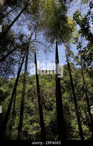 (181028) -- GUANGZHOU, 28 octobre 2018 -- les touristes se balancent sur une falaise dans la région pittoresque de la cascade de Tianzi Mountain à Qingyuan, province du Guangdong dans le sud de la Chine, 28 octobre 2018. ) (wsw) CHINA-GUANGZHOU-QINGYUAN-SCENERY (CN) ZhangxJiayang PUBLICATIONxNOTxINxCHN Banque D'Images