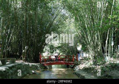 (181028) -- GUANGZHOU, 28 octobre 2018 -- les touristes visitent la région pittoresque de la cascade de Tianzi Mountain à Qingyuan, dans la province du Guangdong du sud de la Chine, le 28 octobre 2018. ) (wsw) CHINA-GUANGZHOU-QINGYUAN-SCENERY (CN) ZhangxJiayang PUBLICATIONxNOTxINxCHN Banque D'Images