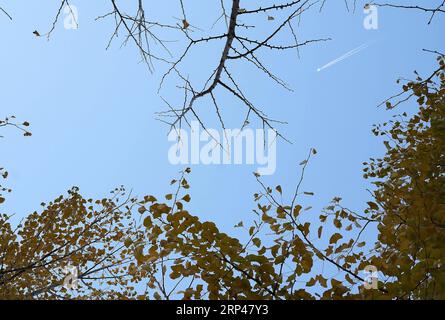 (181030) -- PÉKIN, le 30 octobre 2018 -- Un avion vole dans le ciel au-dessus de Miyun, Pékin, capitale de la Chine, le 30 octobre 2018.) (Wyo) CHINA-BEIJING-MIYUN-AUTUMN SCENERY (CN) SongxZhenping PUBLICATIONxNOTxINxCHN Banque D'Images