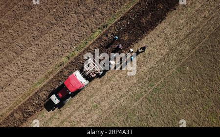 (181101) -- WEIYUAN, 1 novembre 2018 -- des agriculteurs récoltent des herbes dans le village de Hejiawan, dans le comté de Weiyuan, dans la province du Gansu, au nord-ouest de la Chine, le 1 novembre 2018. La production de plantes médicinales chinoises dans la province du Gansu, avec une superficie totale de plantation de 4,6 millions de mu (310 000 hectares), devrait atteindre 1,2 millions de tonnes en 2018. Les agriculteurs de plus de 1 300 villages pauvres ont bénéficié de la plantation d ' herbes aromatiques. (Hxy) CHINA-GANSU-WEIYUAN-CHINESE HERBAL MEDICINE (CN) ChenxBin PUBLICATIONxNOTxINxCHN Banque D'Images