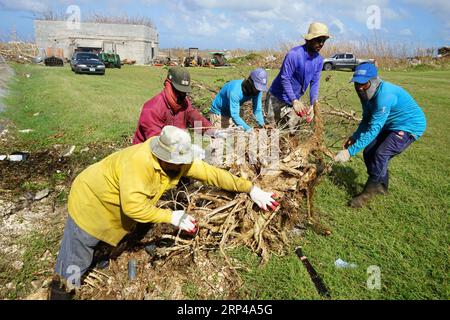 (181101) -- SAIPAN, 1 novembre 2018 -- des travailleurs nettoient les arbres tombés à Saipan, Commonwealth des îles Mariannes du Nord (CNMI), 31 octobre 2018. Le super typhon Yutu a atterri aux États-Unis ou dans leurs territoires, a frappé le Commonwealth des îles Mariannes du Nord (CNMI) et causé des dommages considérables aux infrastructures essentielles. (djj) ÎLES MARIANNES DU NORD-SAIPAN-TYPHOON-RECONSTRUCTION GaoxShan PUBLICATIONxNOTxINxCHN Banque D'Images