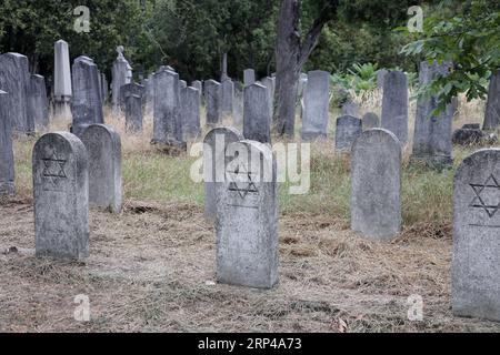 Pierres tombales historiques avec étoile de David à l'ancien cimetière juif du cimetière central de Vienne Banque D'Images