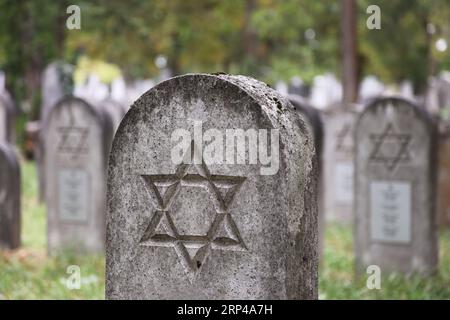 Pierre tombale historique avec étoile de David à l'ancien cimetière juif du cimetière central de Vienne Banque D'Images