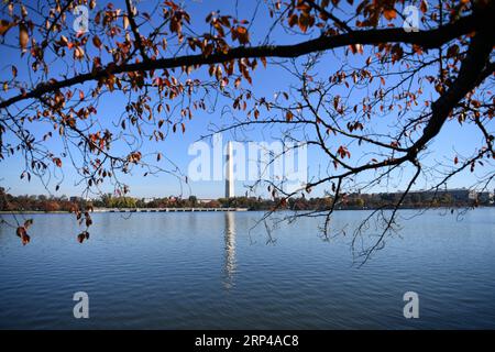 (181101) -- WASHINGTON, le 1 novembre 2018 -- le Washington Monument est vu à travers des branches au bord du lac du Tidal Basin à Washington D.C., aux États-Unis, le 1 novembre 2018.) U.S.-WASHINGTON D.C.-BASSIN-MARÉE-AUTOMNE LIUXJIE PUBLICATIONXNOTXINXCHN Banque D'Images