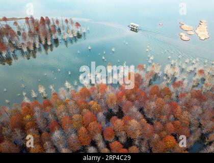 (181104) -- PÉKIN, 4 novembre 2018 -- une photo aérienne prise le 30 octobre 2018 montre des mélèzes au réservoir de Qinglongwan dans la ville de Ningguo, province de l Anhui dans l est de la Chine.) XINHUA PHOTO CHOIX HEBDOMADAIRES ShixYalei PUBLICATIONxNOTxINxCHN Banque D'Images