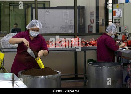(181106) -- GRECIA, 6 novembre 2018 -- un travailleur emballe du café en poudre dans une usine de CoopeVictoria à Grecia, Costa Rica, le 31 octobre 2018. CoopeVictoria, la première coopérative fondée au Costa Rica il y a environ 75 ans, rassemble quelque 3 000 producteurs de café qui exportent leurs grains, entiers et moulus, vers différentes parties du monde, y compris récemment la Chine, bien que les expéditions vers le pays asiatique aient été relativement modestes. CoopeVictoria prévoit maintenant concurrencer pour une plus grande part du marché de consommation en croissance de la Chine en participant à la toute première China International Import Expo (CIIE) prévue du 5-10 au 27 novembre à S. Banque D'Images