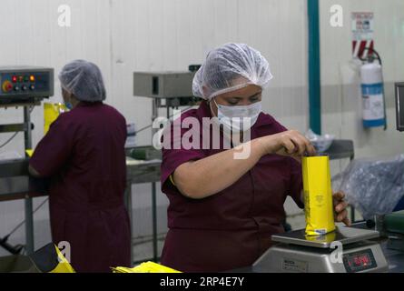 (181106) -- GRECIA, 6 novembre 2018 -- un ouvrier pèse de la poudre de café dans une usine de CoopeVictoria à Grecia, Costa Rica, le 31 octobre 2018. CoopeVictoria, la première coopérative fondée au Costa Rica il y a environ 75 ans, rassemble quelque 3 000 producteurs de café qui exportent leurs grains, entiers et moulus, vers différentes parties du monde, y compris récemment la Chine, bien que les expéditions vers le pays asiatique aient été relativement modestes. CoopeVictoria prévoit maintenant concurrencer pour une plus grande part du marché de consommation en croissance de la Chine en participant à la toute première China International Import Expo (CIIE) prévue du 5-10 au 27 novembre à Sha Banque D'Images